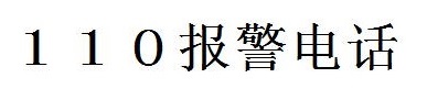 110番について(中国語) 110番について(中国語)